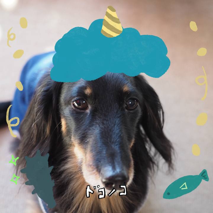 Ee77603b 33ff 4f31 b94e e7324d2f50de 1706930038377