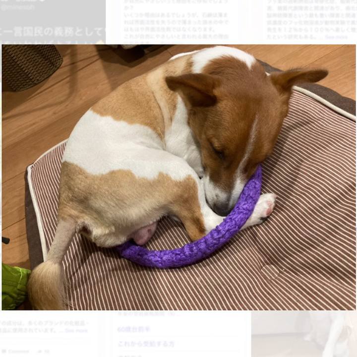 Ee77730b d2df 4779 8a65 394eb6a1ae02 1640659818233