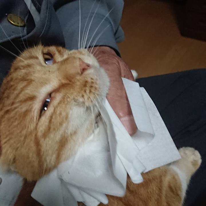 Ee778213 e1a2 473b 850f 313147e03e72 1603231054288