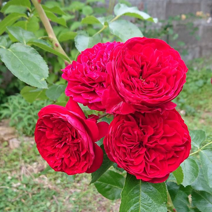 Ee77988e 7792 4f1d 99ec d595772e0abb 1653623481504