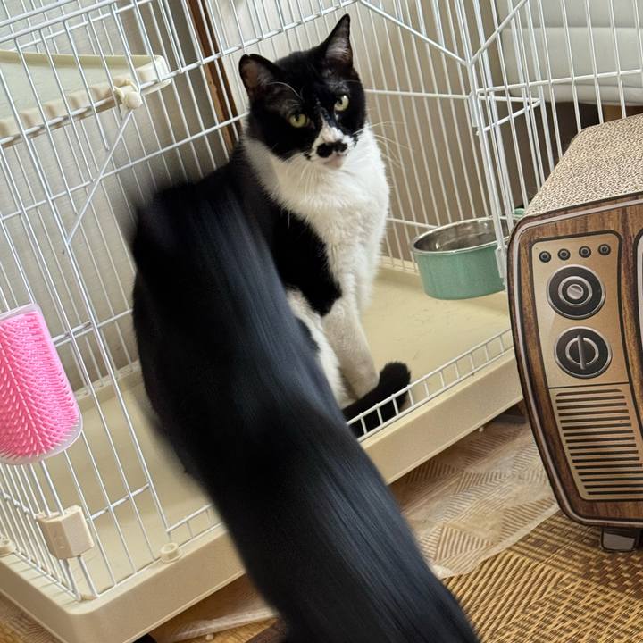 Ee77b3ae 431c 4673 bef8 9107c82aa813 1746663238387