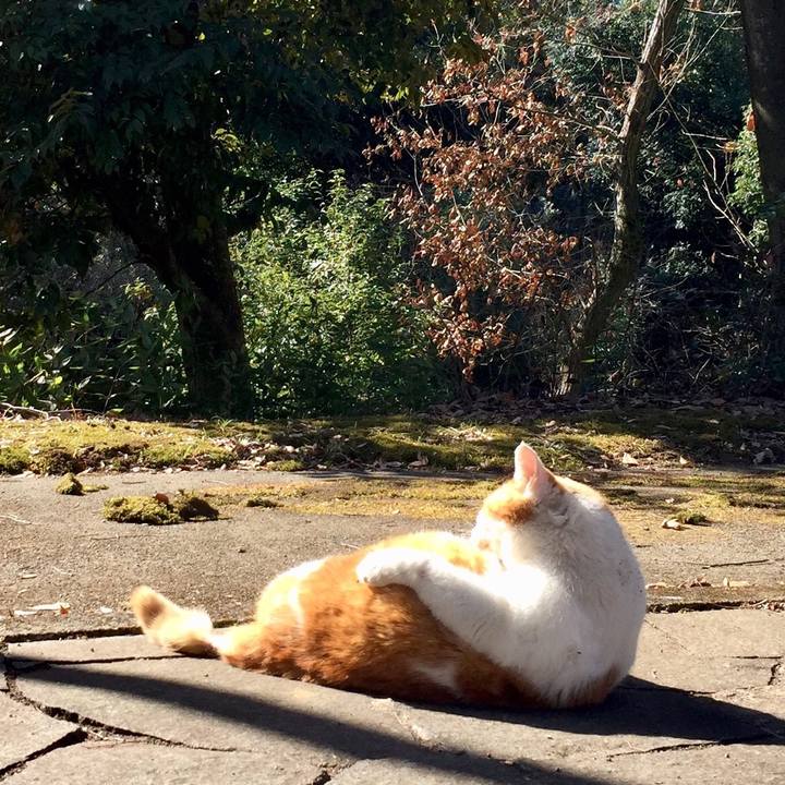 Ee7805ec c101 409f b363 6ff96fc0d34a 1549958997006