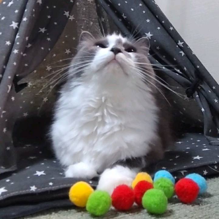 Ee78214f ede9 46af 8002 0eef3e169ef7 1697886469841