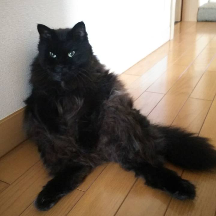 Ee782974 1950 458c 84d5 6c5a705739aa 1564525554580