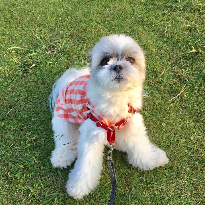 Ee78341f 8ea1 4b43 be95 c7994ec6bb1b 1537734299584