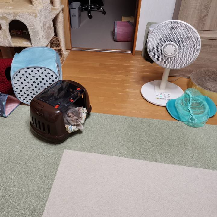 Ee783aa1 131f 47eb 826a 8801c34be31d 1598189346593