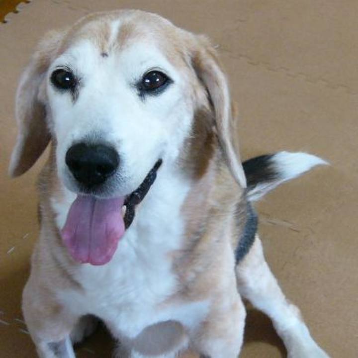 Ee784fa6 655c 42a4 9784 d722a5a05a2c 1683679099336