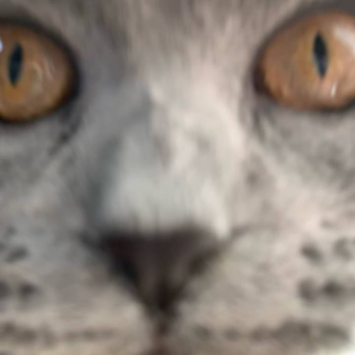 Ee786d0a b034 4961 a2f1 f10be87ece90 1676717401626