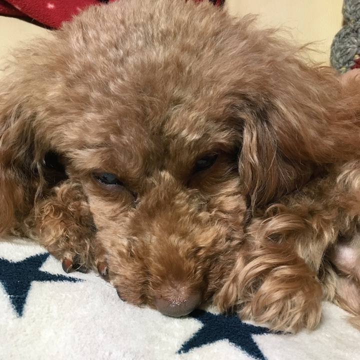 Ee789304 22f9 4705 a00b 32e4de42d0c9 1519645963121