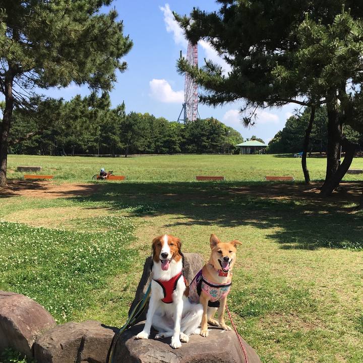 Ee78b923 9a79 4bdc 9c98 298a88f3f14d 1528009598813