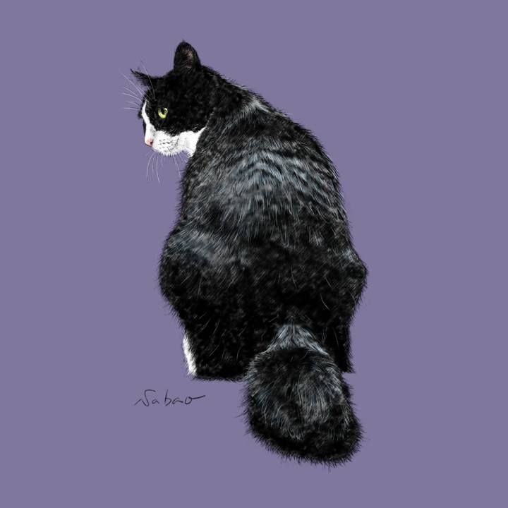 Ee78d796 3583 459e ab87 529a29bb06de 1677338689739