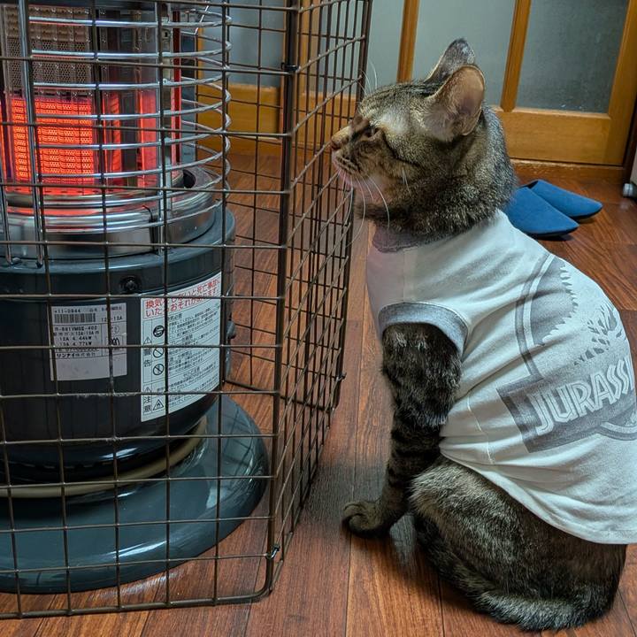 Ee78f13c 921c 4391 a86a 76834709b802 1764062595797