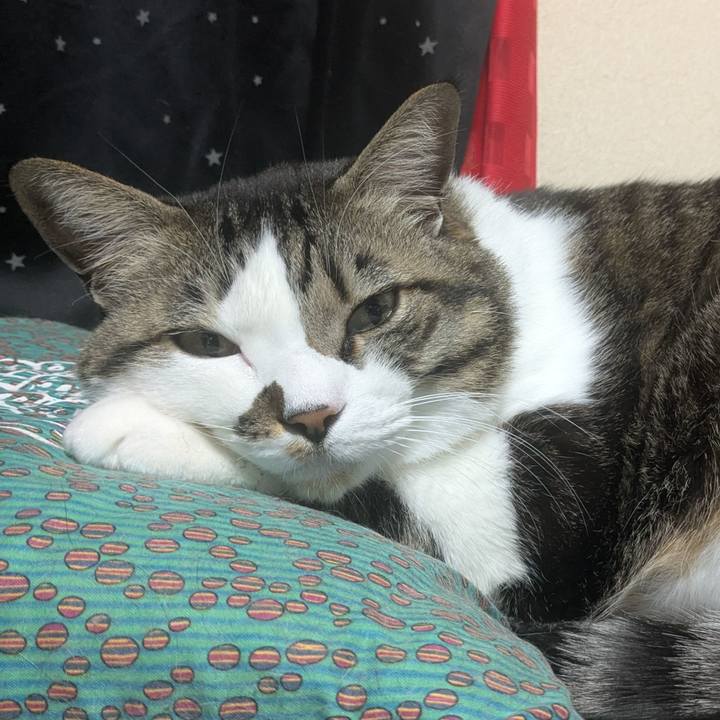 Ee793f22 0bda 4ce1 842e 4958c57ab1b1 1771718431387