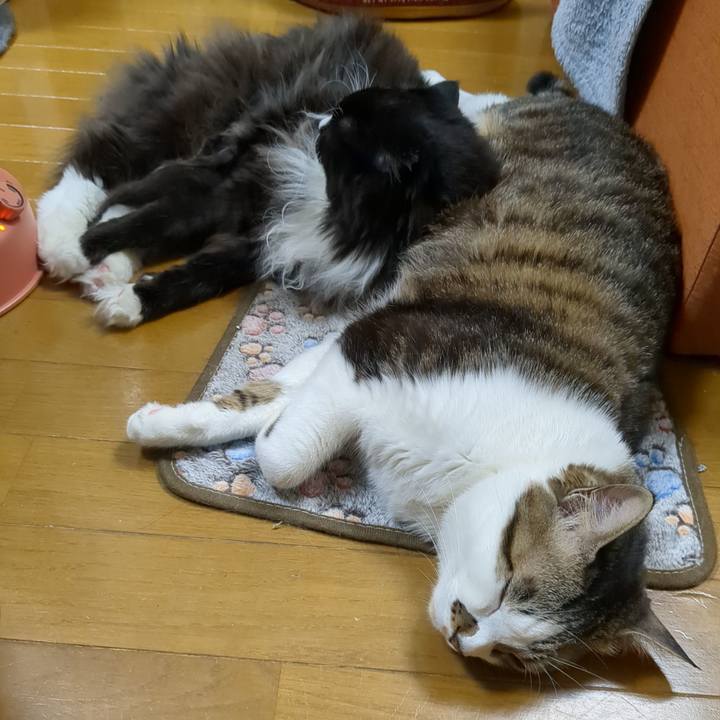 Ee794d90 f1f8 42c8 aa22 c779446ce2b5 1678091292212