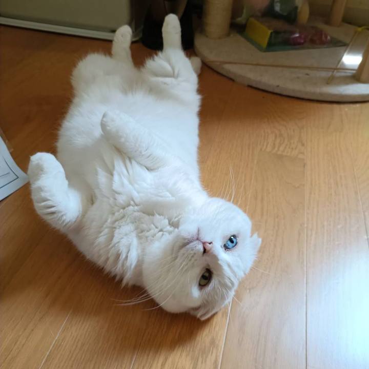 Ee795021 df3e 4933 b6a3 9a9680249708 1752366991367