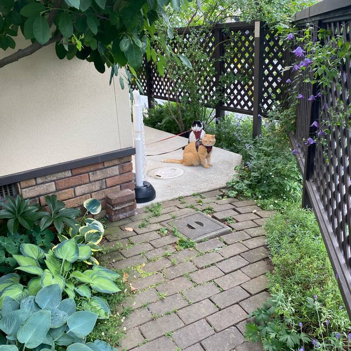 Ee796ed0 e517 4347 8250 ba7aa9abe248 1718061451572