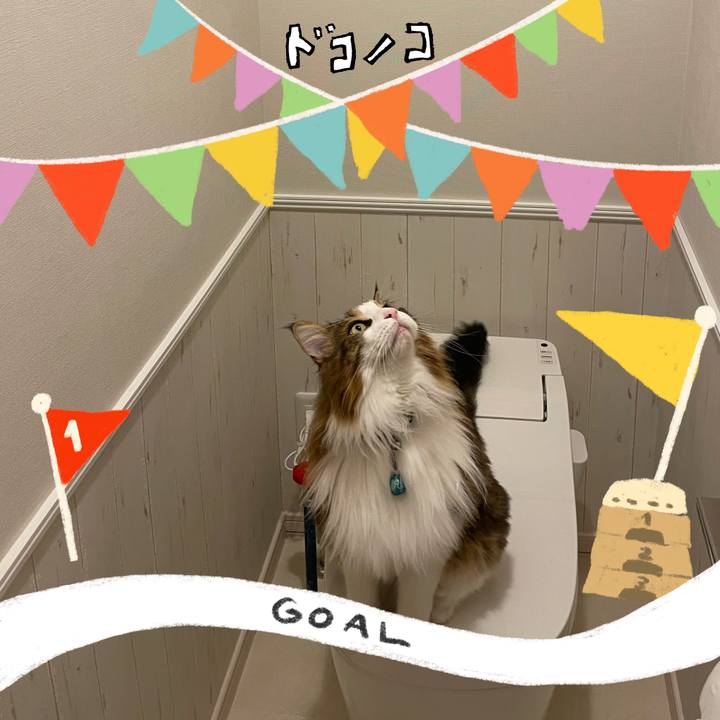 Ee79953b 3743 4ee2 b928 1b441fe03a3f 1729195325838