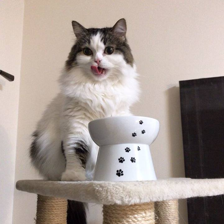 Ee79d546 c20d 4aeb 827f cb53e91ce610 1763256378451