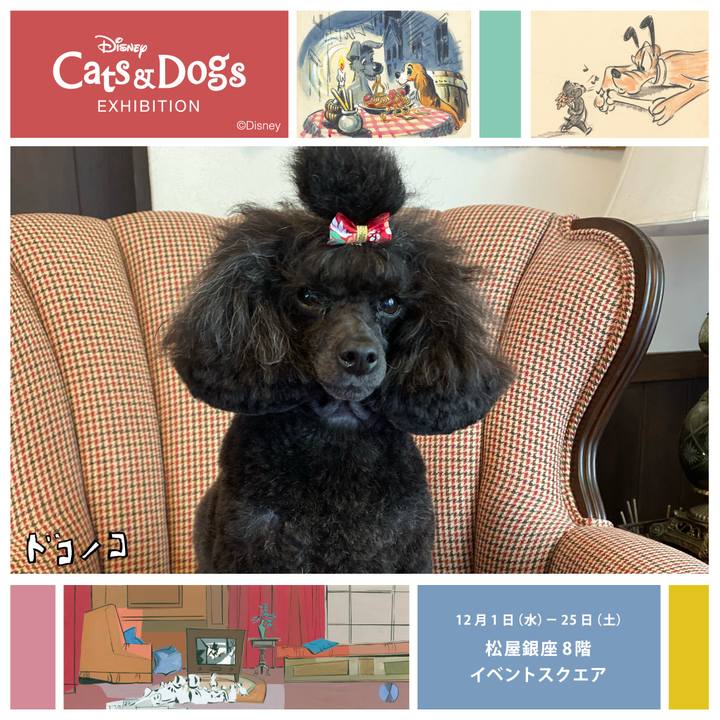 Ee7a59dc ac96 4803 b557 6ae1bc0c369e 1638329182432