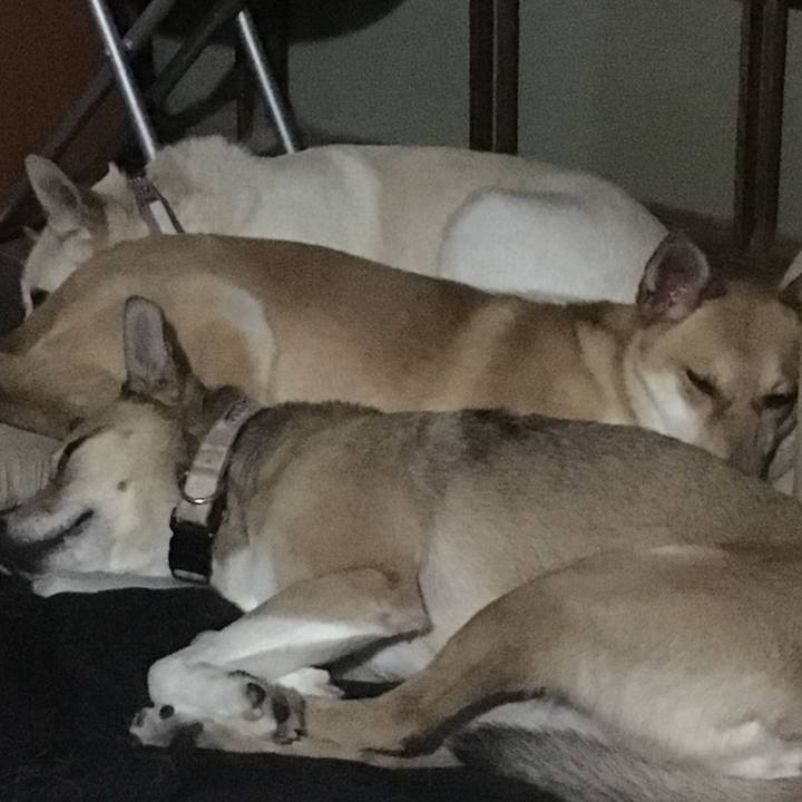 Ee7a70a0 3c03 42b5 ba7a 22a2efe219e2 1559147023539