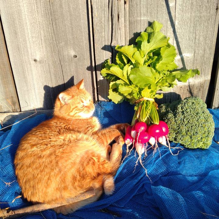 Ee7a73a1 761d 4019 ab25 7d221ea76082 1700035215694