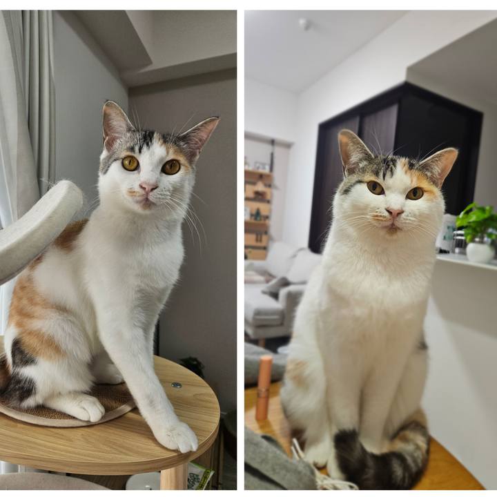 Ee7a797a e7e7 4798 a507 505cb7610854 1765807108919