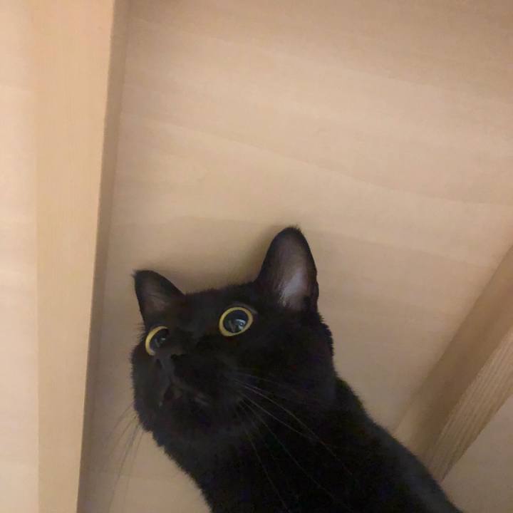 Ee7a941b 39be 43e8 a88e 5735c582c568 1568679048675