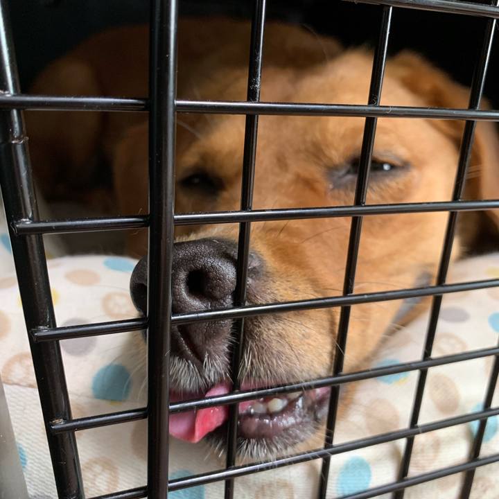 Ee7aa7f1 2679 47b8 a71e c44edbdbb032 1570073469388