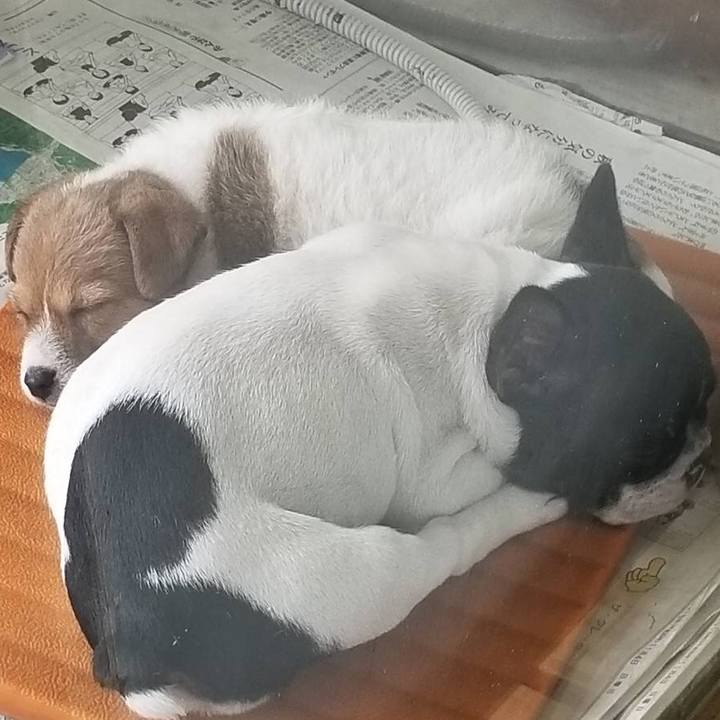 Ee7acb54 f780 43c8 86a3 6af28d872d5f 1542201435960