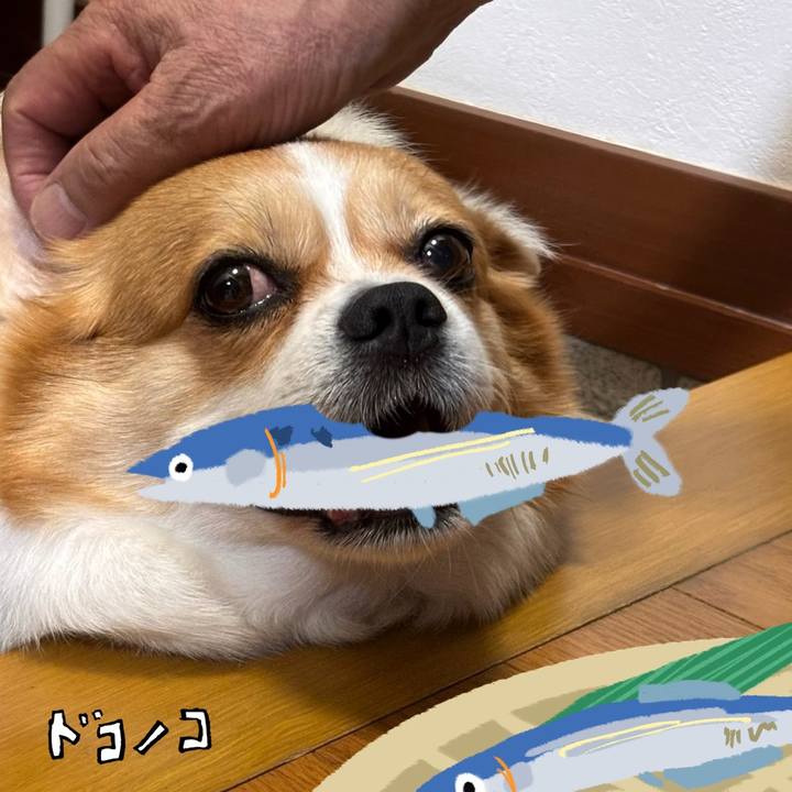 Ee7aff73 6079 4599 81f9 2eebd13d847f 1789739833236
