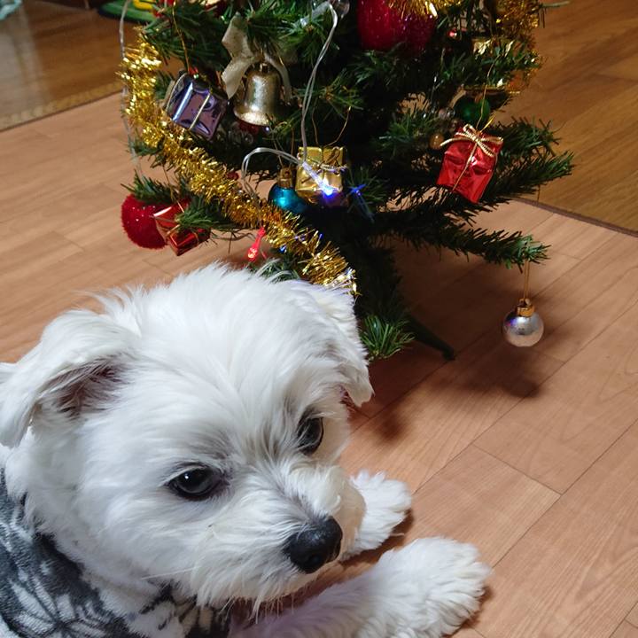 Ee7b52cf 8d89 4e3e 99c9 7dbe5fe60dbc 1574854517521