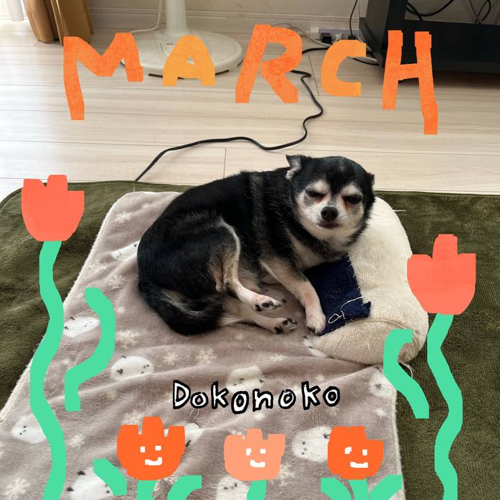 Ee7b61f8 a739 4963 a838 49eb4c416608 1741059188734