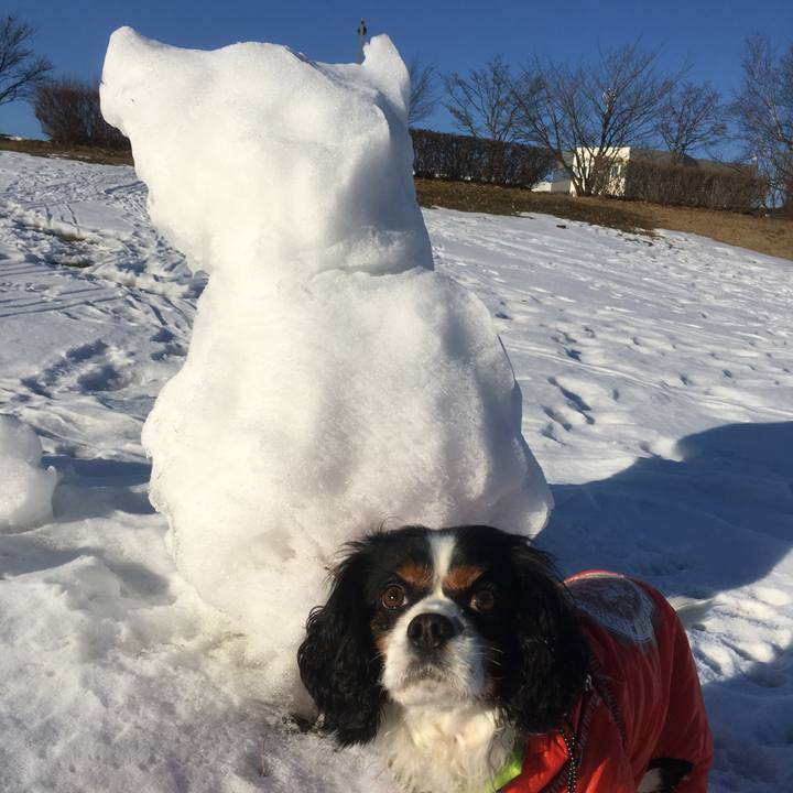 Ee7b83e8 7e57 403c a802 a879ca70f3b5 1515912960968