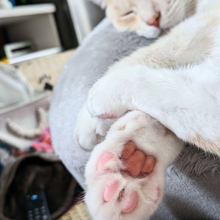 Ee7b916b daac 4c48 9f32 fedc023f5880 1726804296437