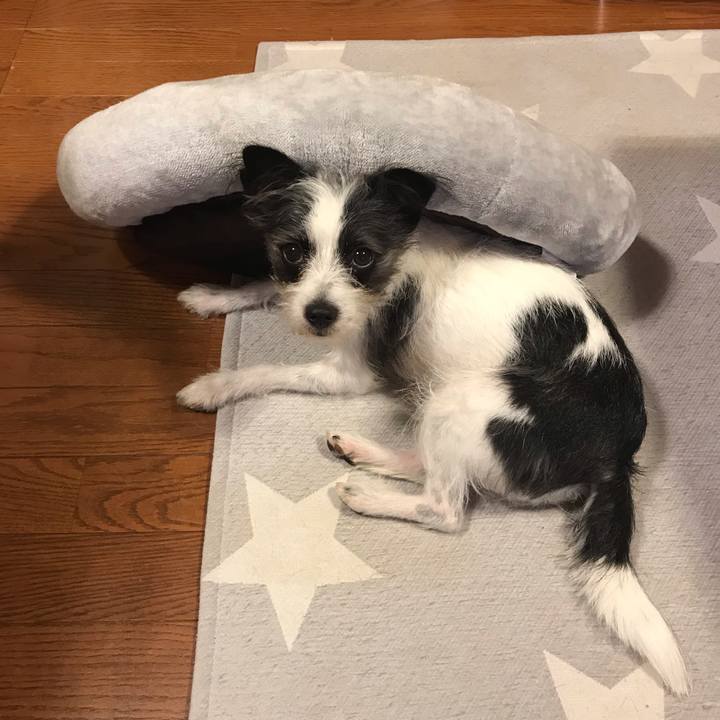 Ee7b91fa d63c 47ad bdbc 2fd493bb3a18 1541073236950