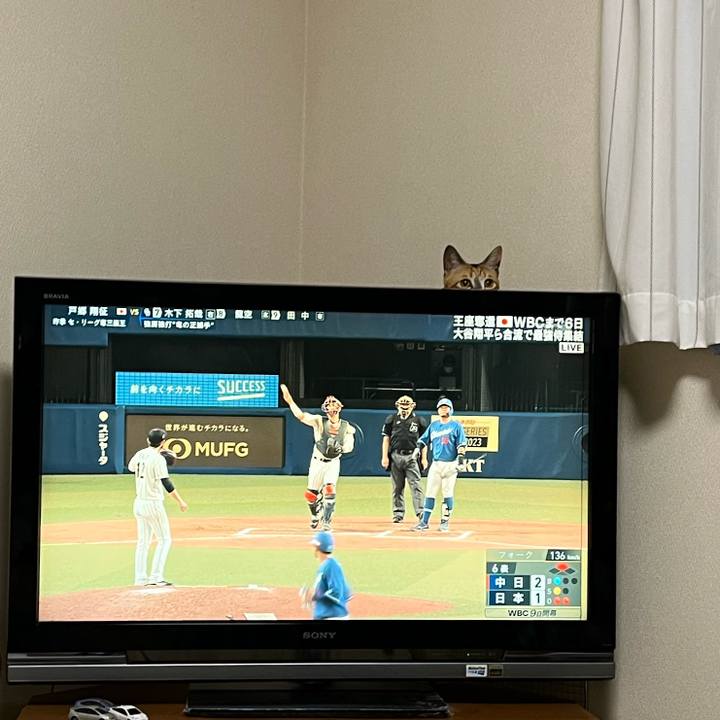 Ee7b95f7 bf8f 48bb a0d2 a66d450b71b5 1677845324287