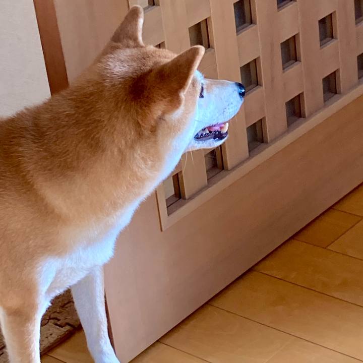 Ee7bc6ea e9ed 43e0 9bb5 f5915c7ca0ec 1726786147606