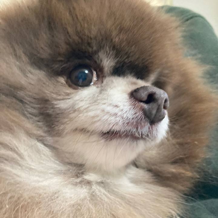 Ee7bc8aa 3352 4ab9 8657 fe6453ea2bbe 1735707659013