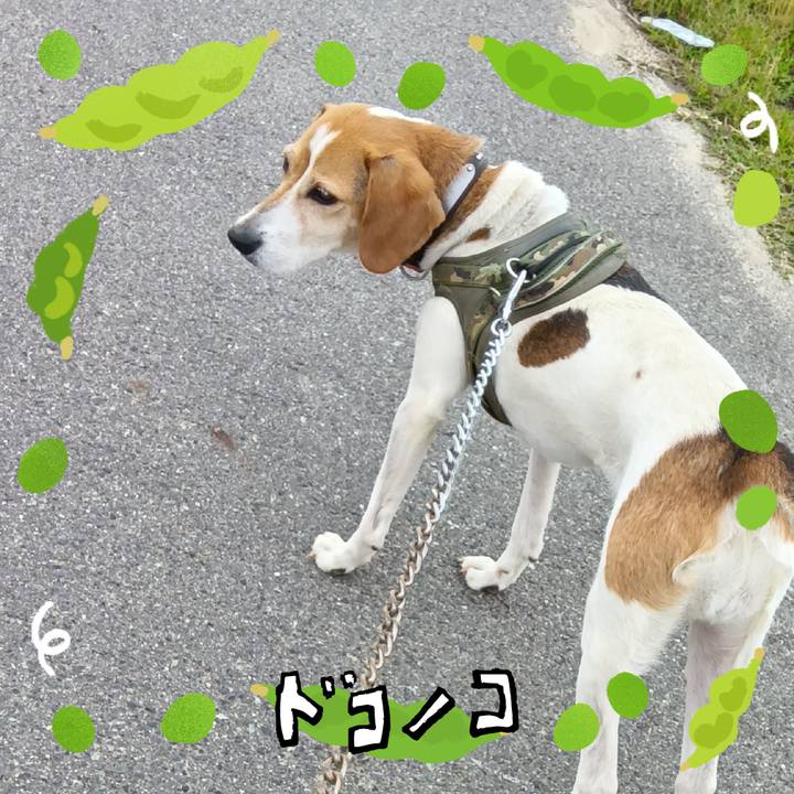 Ee7c1e98 16af 4104 b177 d4f847fbb352 1720864762185