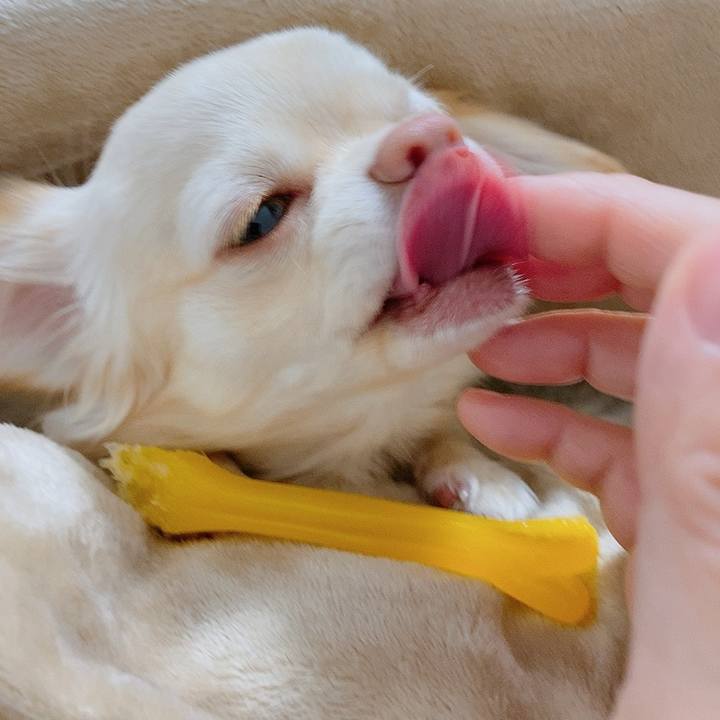 Ee7c2a3e 0e90 4650 b336 1ea732806c4a 1612417958896