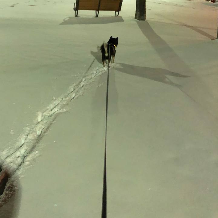 Ee7c3d49 85a1 4d4b 8c9f b5873c00046e 1543716521165