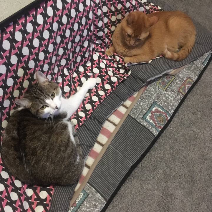 Ee7c6a5e ec86 4a6b 8387 ddcc98206b20 1645504075953