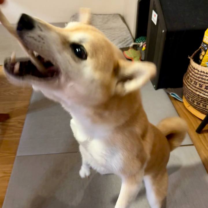 Ee7cab3e 4500 40dc ab9c a1d4884ea9df 1762742478452