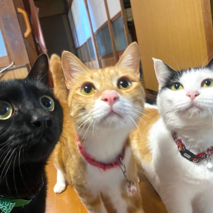 Ee7cb2ba 2936 46f5 81bd 586be504903f 1652825259572