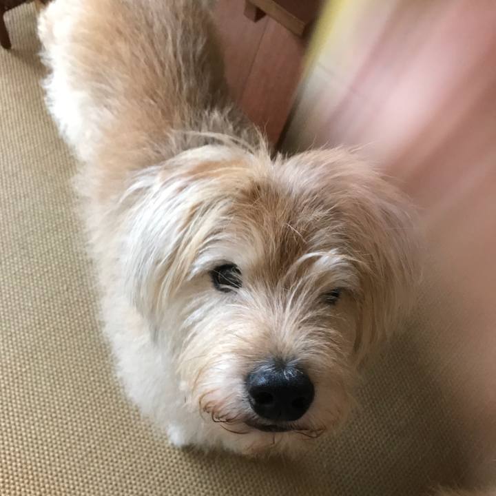 Ee7cbc48 17a2 4ffd b8f7 36026c08a678 1634092857506