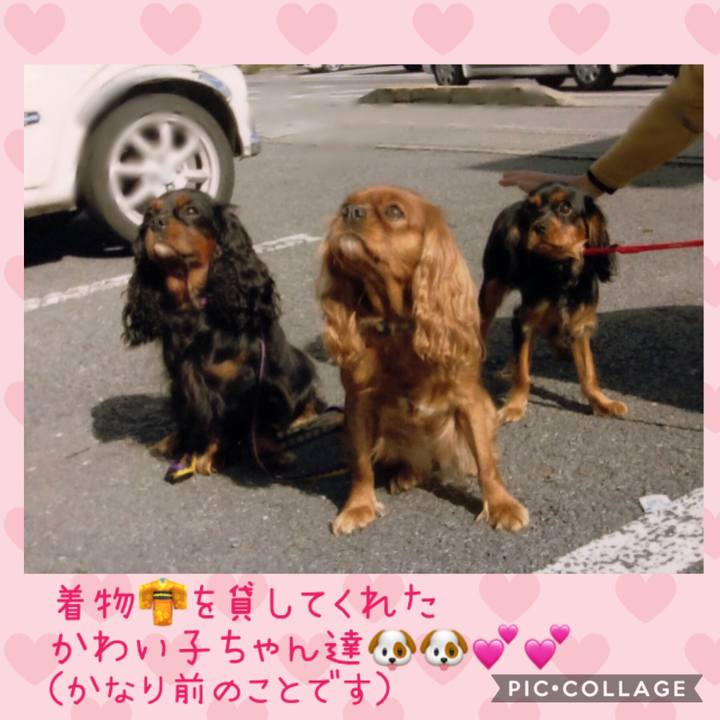 Ee7cf8d1 bd29 4fad a23c 152235ddf21e 1551629370889