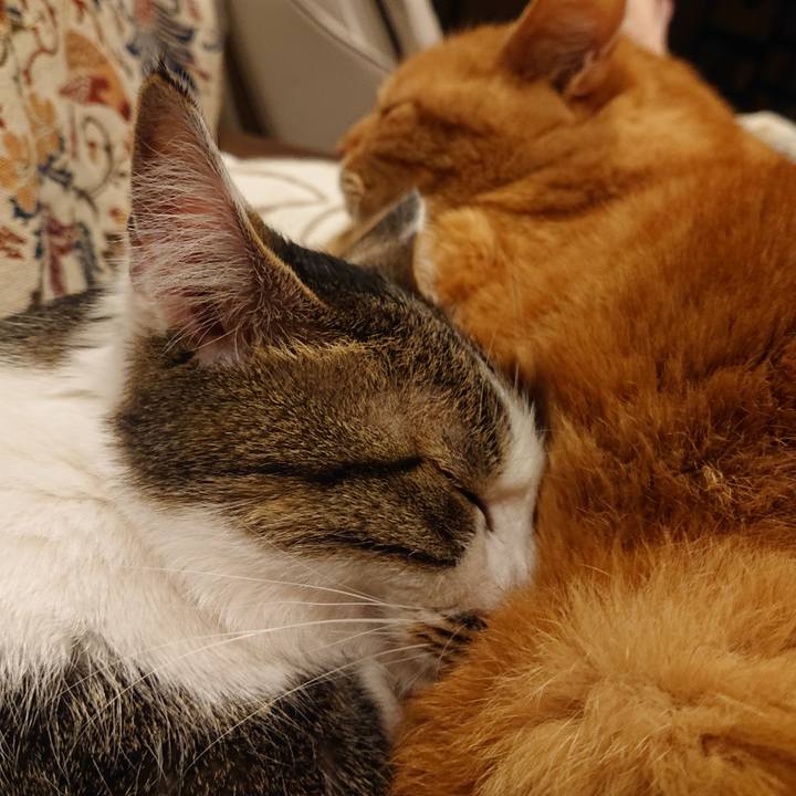 Ee7d3d52 6271 4907 a55b a38b29a3fb1d 1683899498554