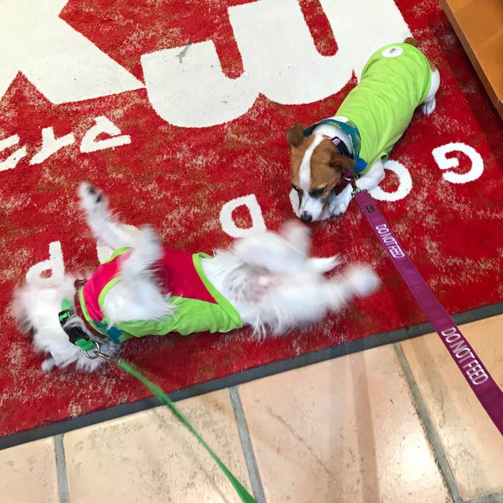 Ee7d87ec c205 4e58 8844 1e6e8f69414d 1508565604181