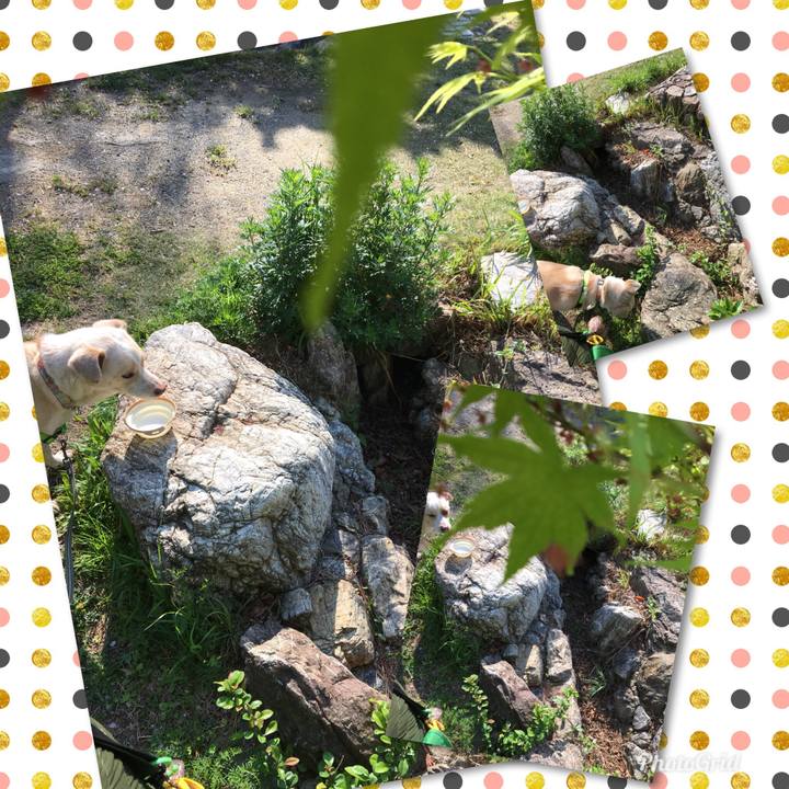 Ee7dc6b4 930b 4bd0 9d7d 9e7cc22dd940 1523148679379