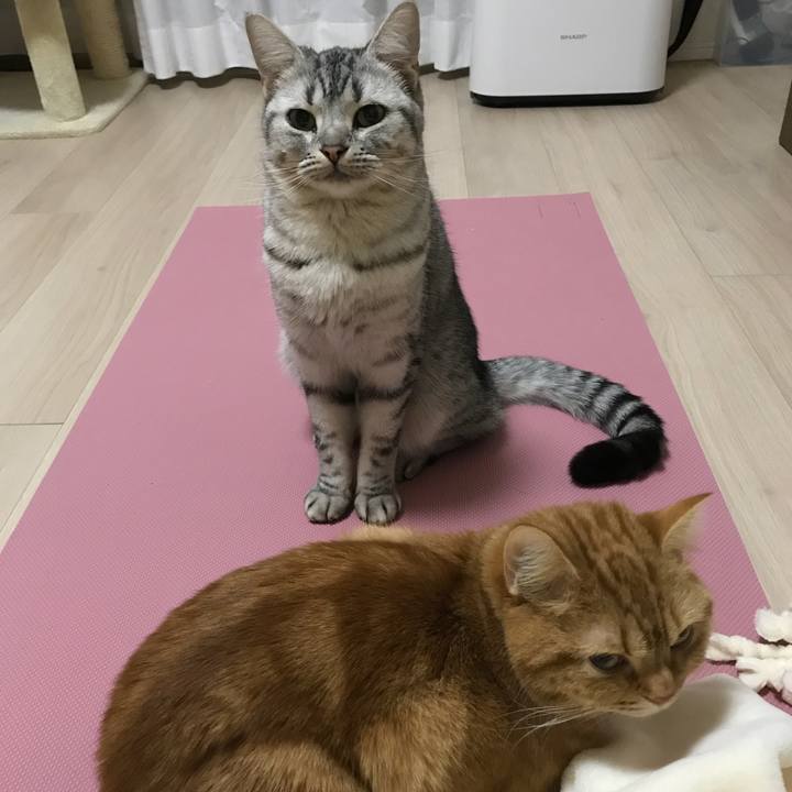 Ee7de24b 1976 48c7 b424 cd76b0fb2df2 1515141649344